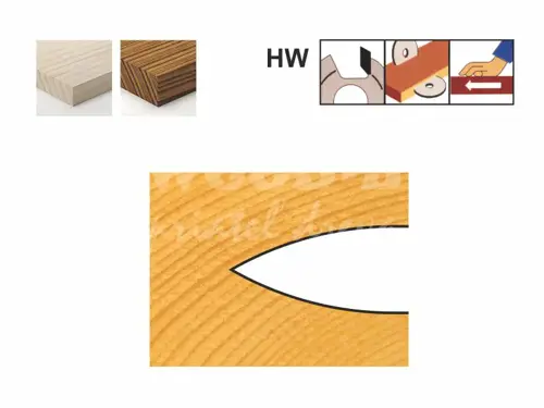 Lodičkovacia fréza; D100; B8; d22; Z4