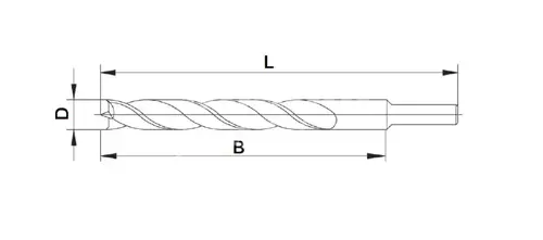 Vrták špirálový s hrotom; D20; L210; B135; stopka13