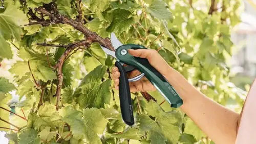 Akyu záhradné nožnice Bosch EasyPrune 3,6 V