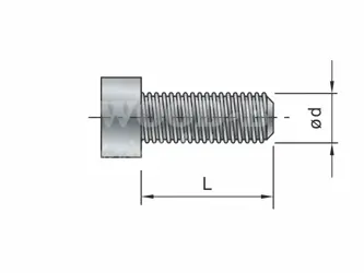 Skrutka; L10,0; HEX2,5; stopka M3