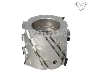 Zarovnávacia fréza pre olepovačky 30°; D100; TypD; B48; B1=39; d30; Z2; R