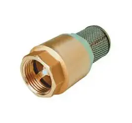 Ventil sací mosadzný 1"