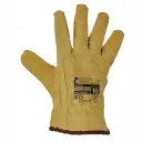 Celoko&#x17E;en&#xE9;